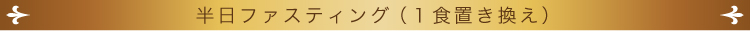 半日ファスティング(1食置き換え)