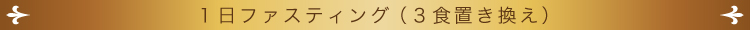 1日ファスティング(3食置き換え)