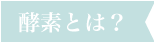 酵素とは？