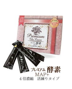 neri-pkmap-ren