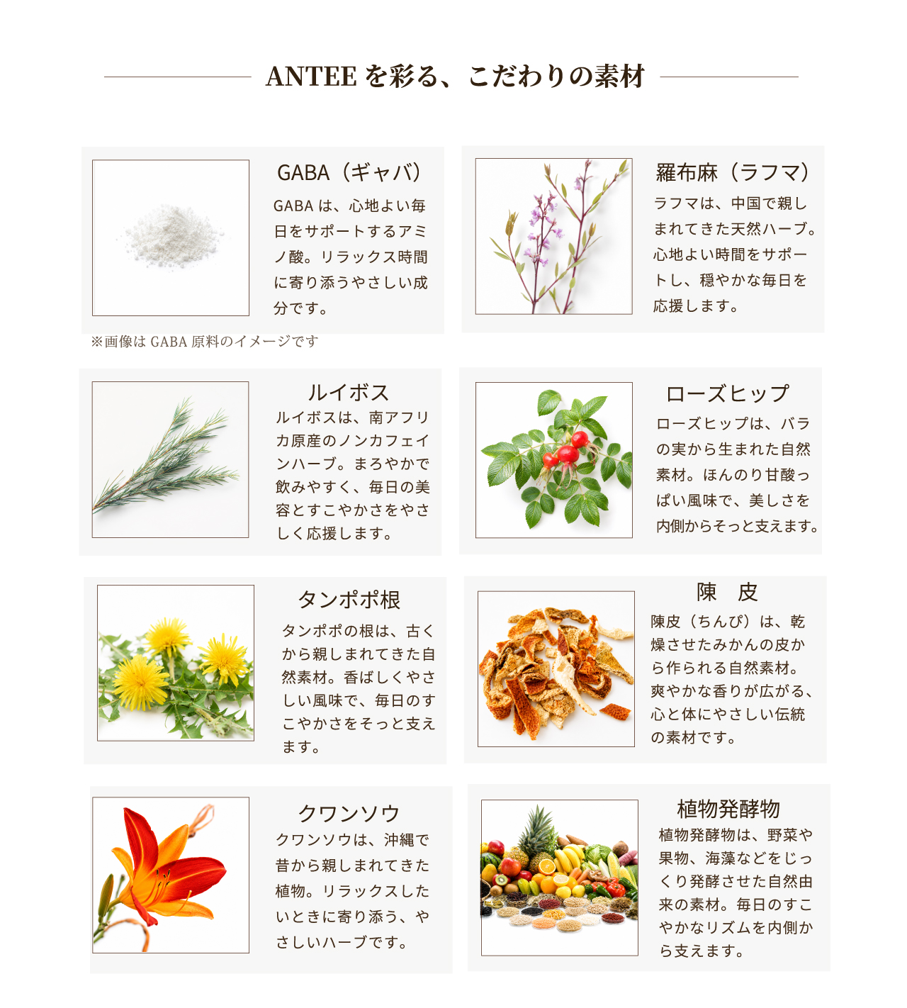 ANTEE(アンティー)を彩る、こだわりの素材